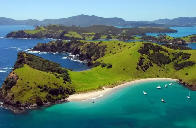 new-zealand-view-nature